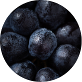 Gut-Eye Barrier Complex grape seed rutin quercetin